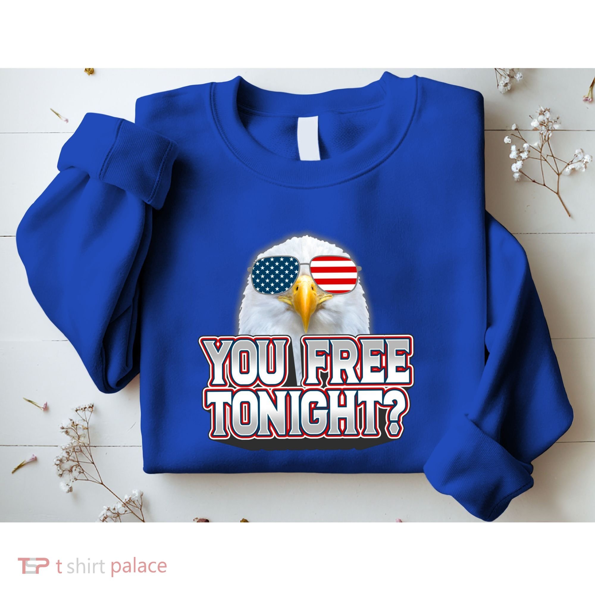 Fourth 4th Of July Bald Eagle You Free Tonight Funny Gift Sweatshirt