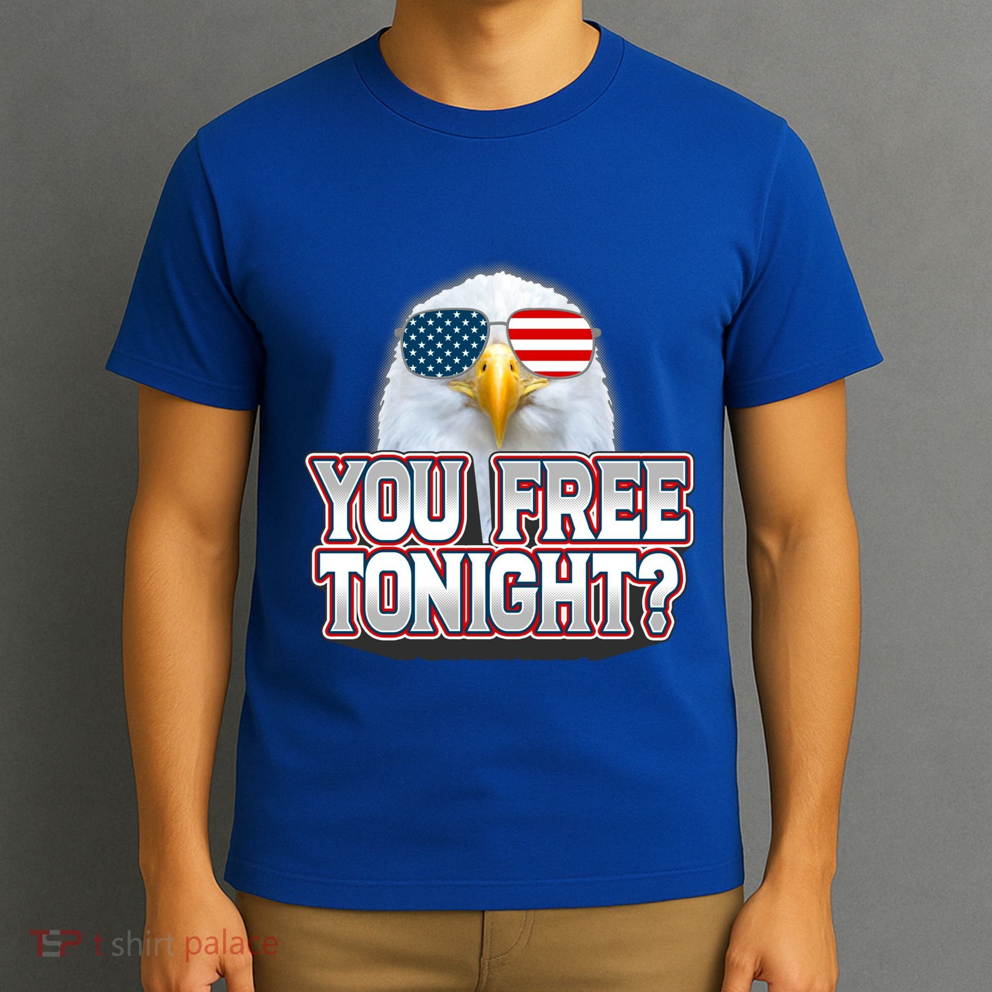 Fourth 4th Of July Bald Eagle You Free Tonight Funny Gift T-Shirt