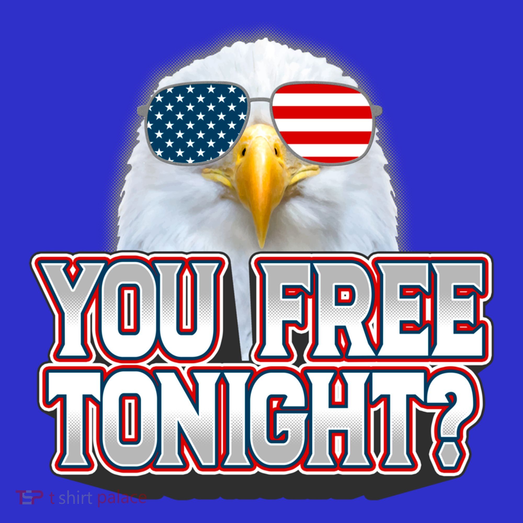 Fourth 4th Of July Bald Eagle You Free Tonight Funny Gift T-Shirt