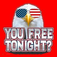 Fourth 4th Of July Bald Eagle You Free Tonight Funny Gift Santa Hat thumb 1