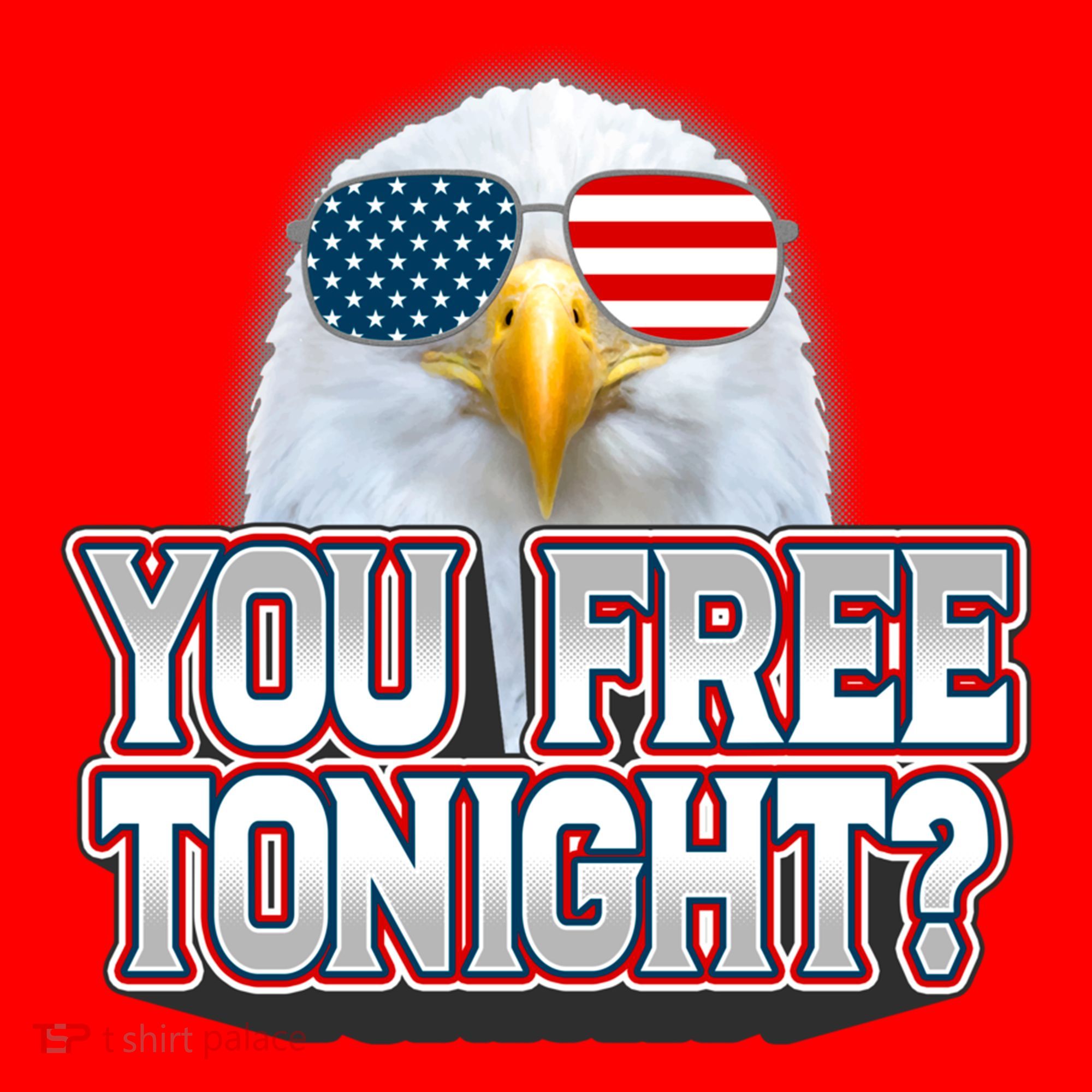 Fourth 4th Of July Bald Eagle You Free Tonight Funny Gift Santa Hat