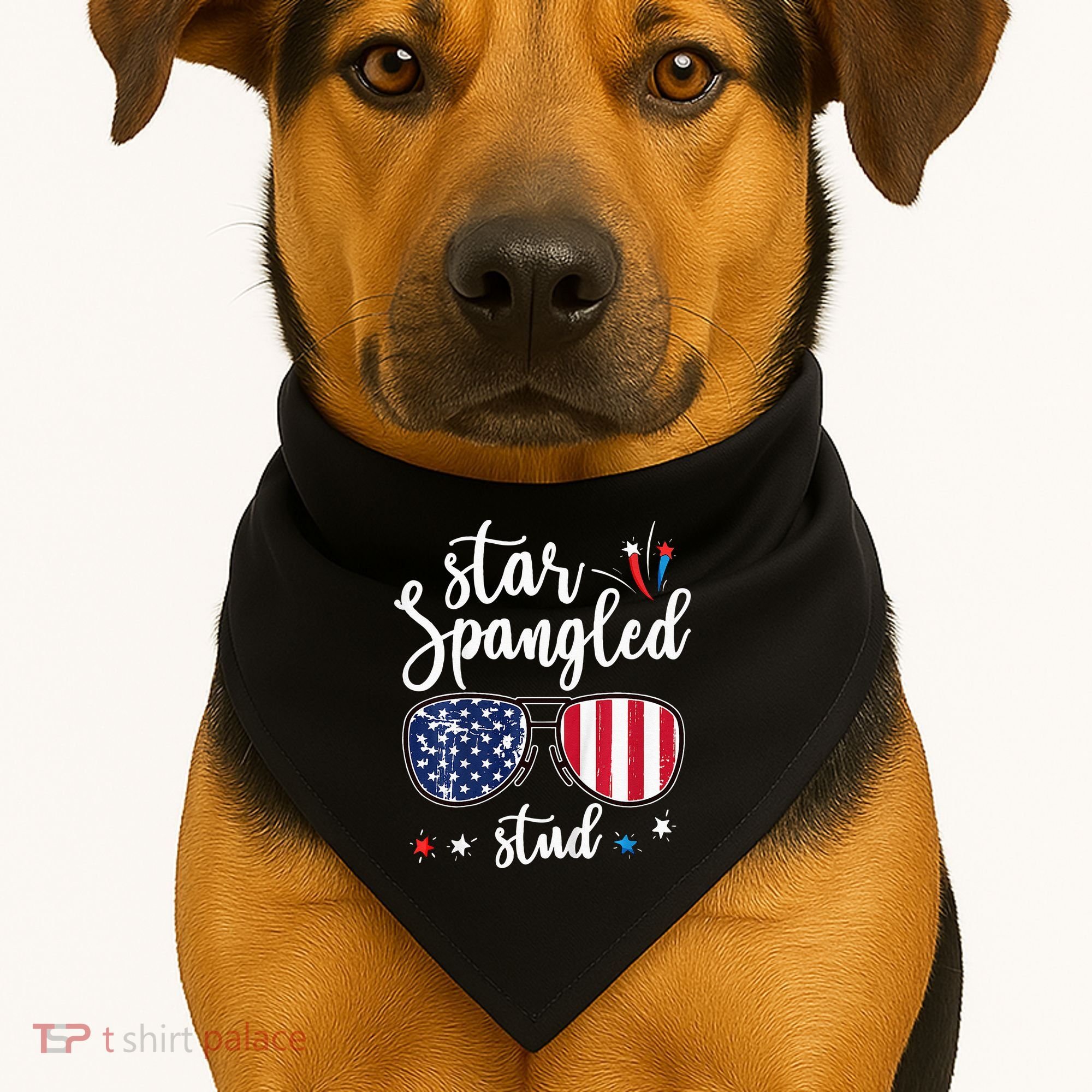 funny 4th of july star spangled student USA-Made Doggie Bandana