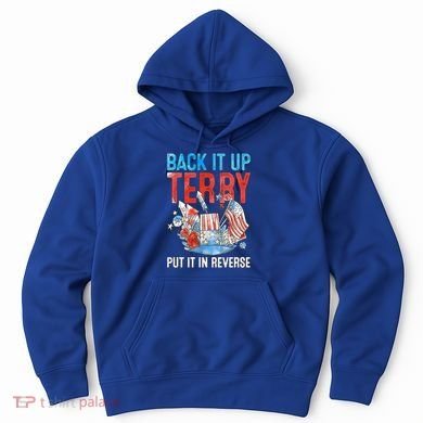 Funny 4th Of July Firework Back Up Terry Put It In Reverse Great Gift Hoodie