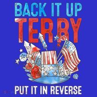 Funny 4th Of July Firework Back Up Terry Put It In Reverse Great Gift Sweatshirt thumb 3