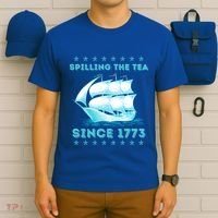 Fun 4th Of July Spilling The Tea Since 1773 History Teacher Gift T-Shirt thumb 6