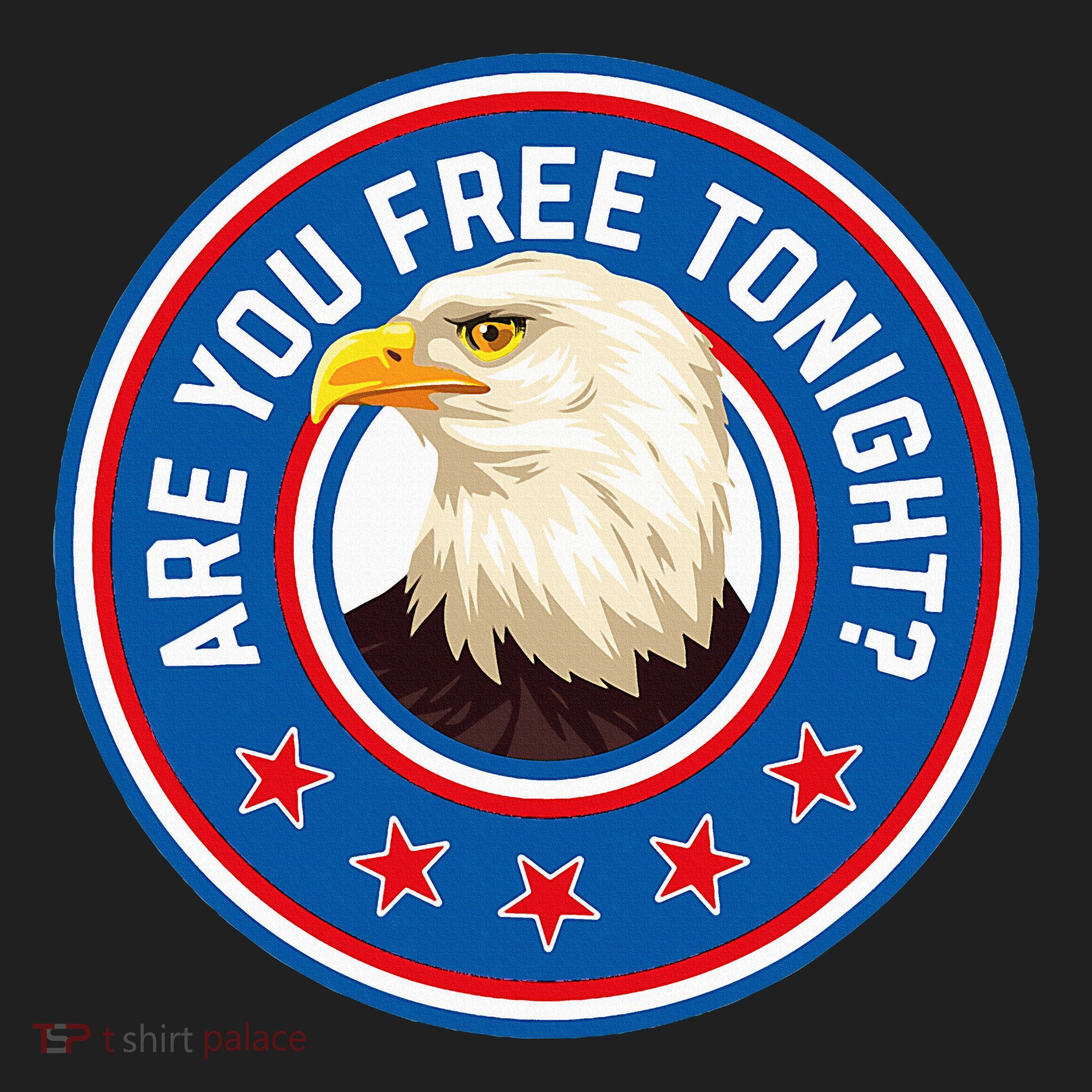 Funny 4th Of July Bald Eagle Are You Free Tonight Usa Beanie
