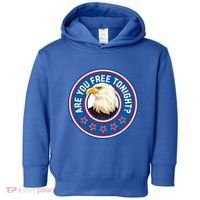 Funny 4th Of July Bald Eagle Are You Free Tonight Usa Toddler Hoodie thumb 0