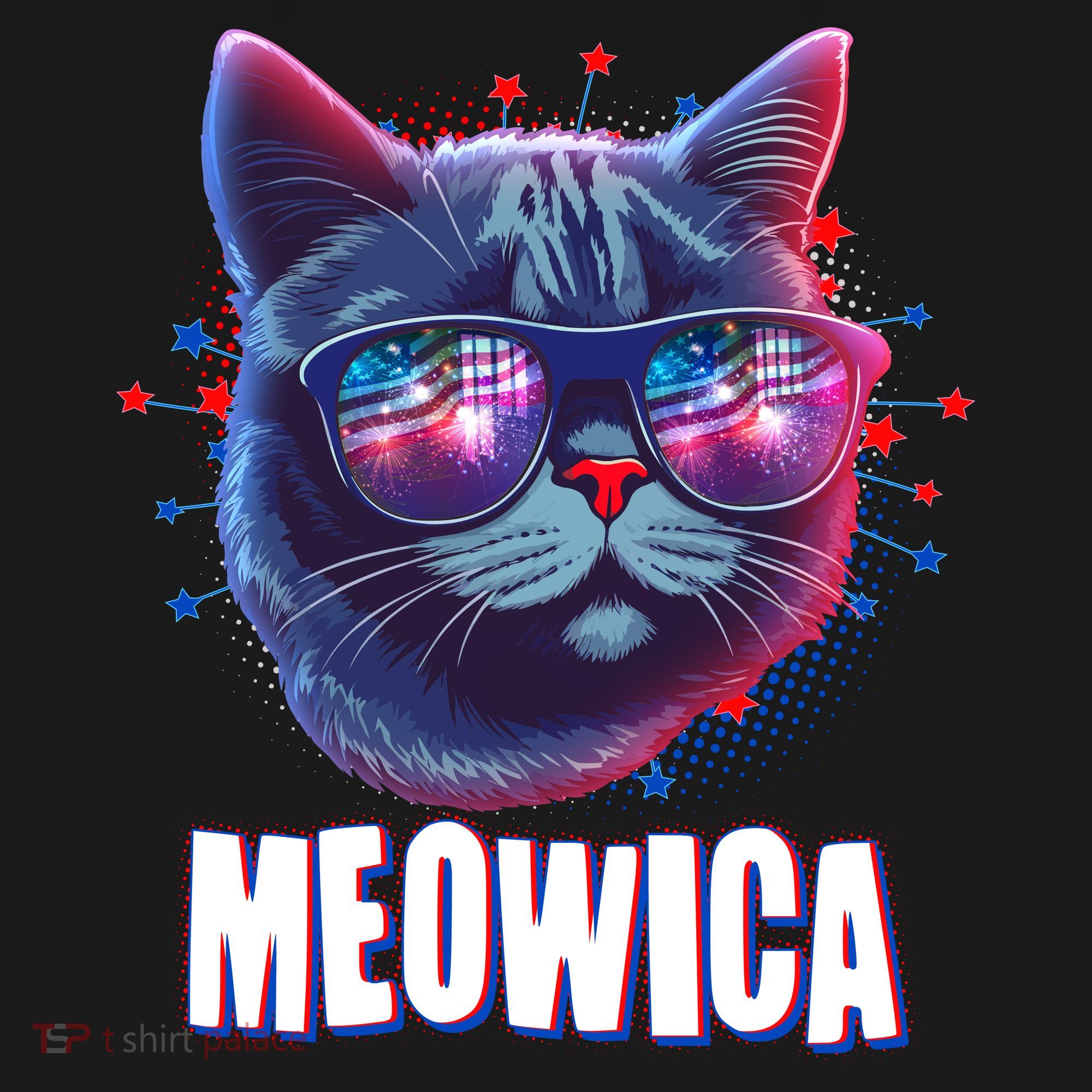 Funny 4th Of July Meowica Fireworks Cat Women's Hoodie