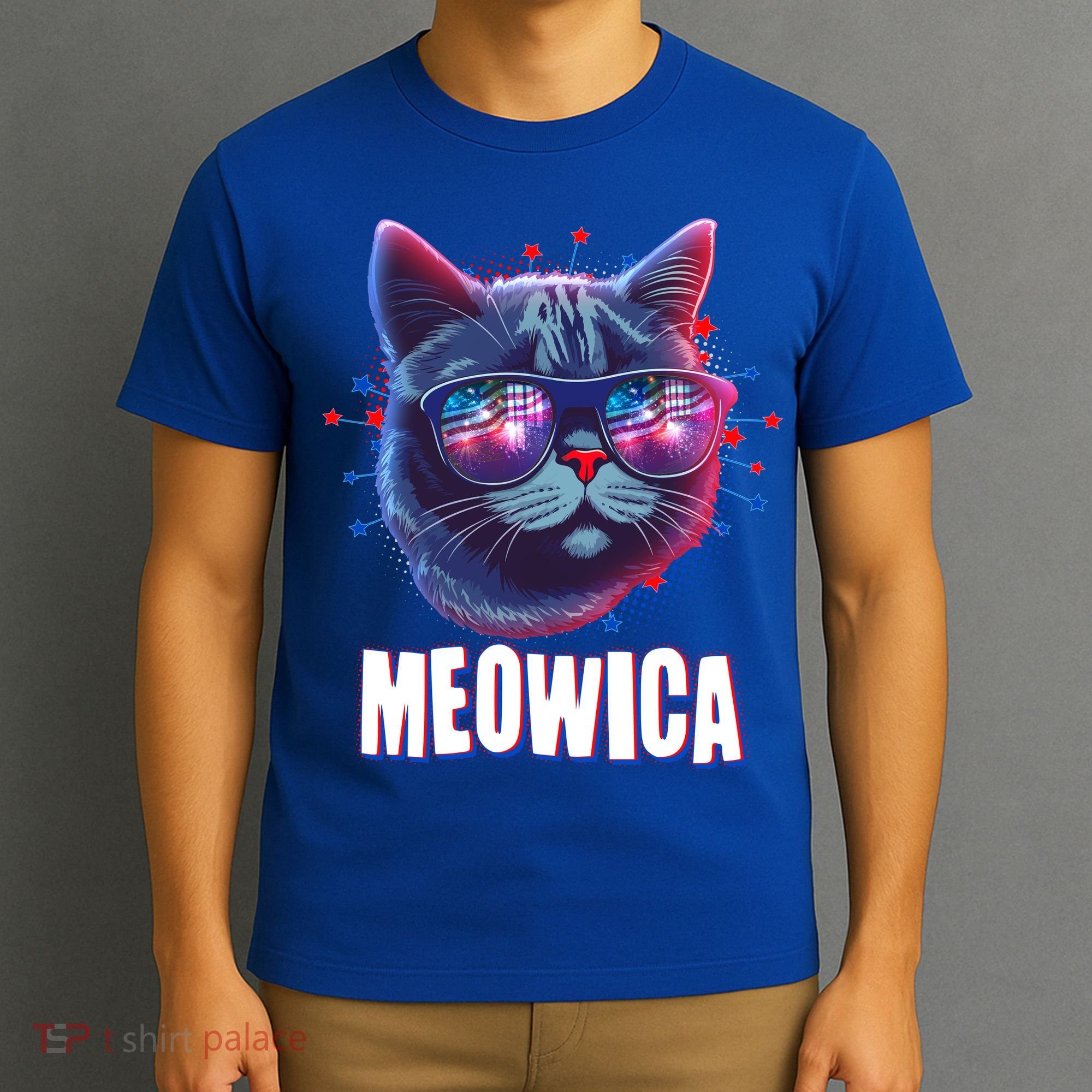 Funny 4th Of July Meowica Fireworks Cat T-Shirt