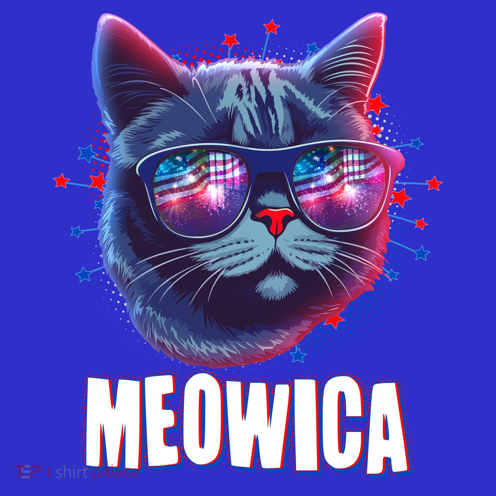 Funny 4th Of July Meowica Fireworks Cat Coaster