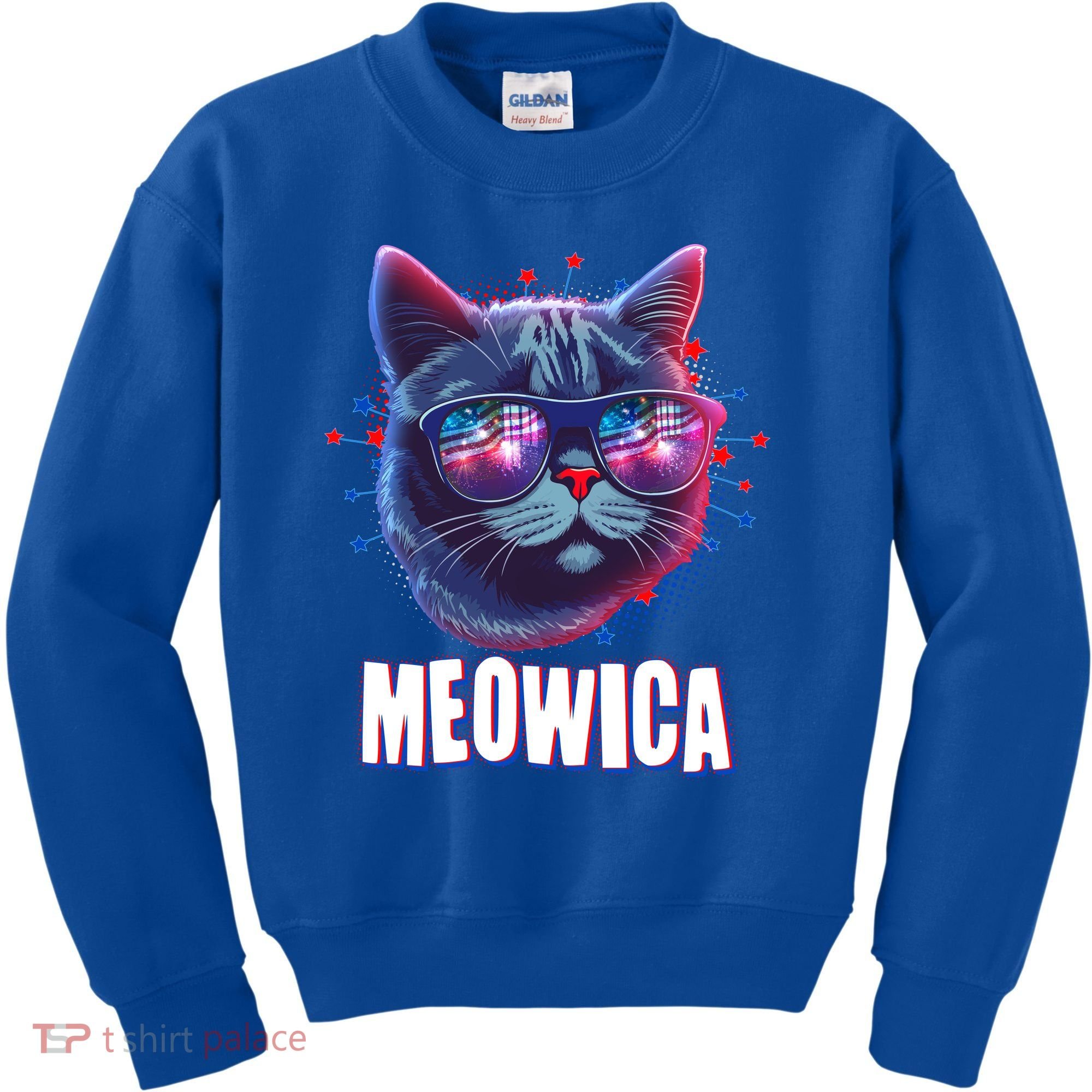 Funny 4th Of July Meowica Fireworks Cat Kids Sweatshirt