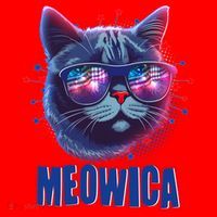 Funny 4th Of July Meowica Fireworks Cat Santa Hat thumb 1