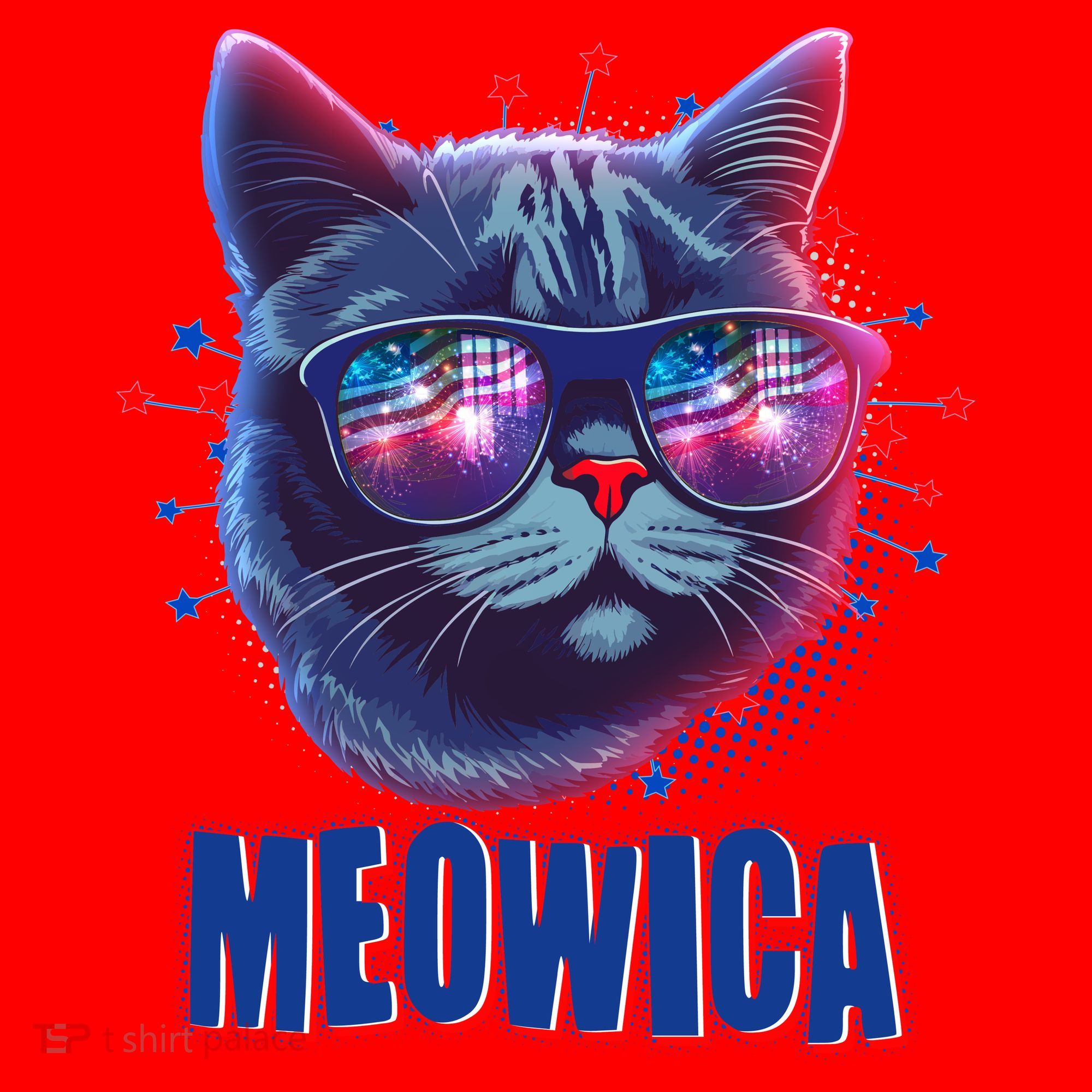 Funny 4th Of July Meowica Fireworks Cat Santa Hat
