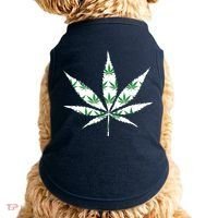 Funny 420 Stoner THC Marijuana Cannabis Weed Pot Leaf Smoker Doggie Tank thumb 0