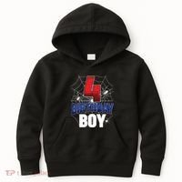 Four 4 Year Old 4th Birthday Boy Spider Web 4yr Party Kids Hoodie thumb 0