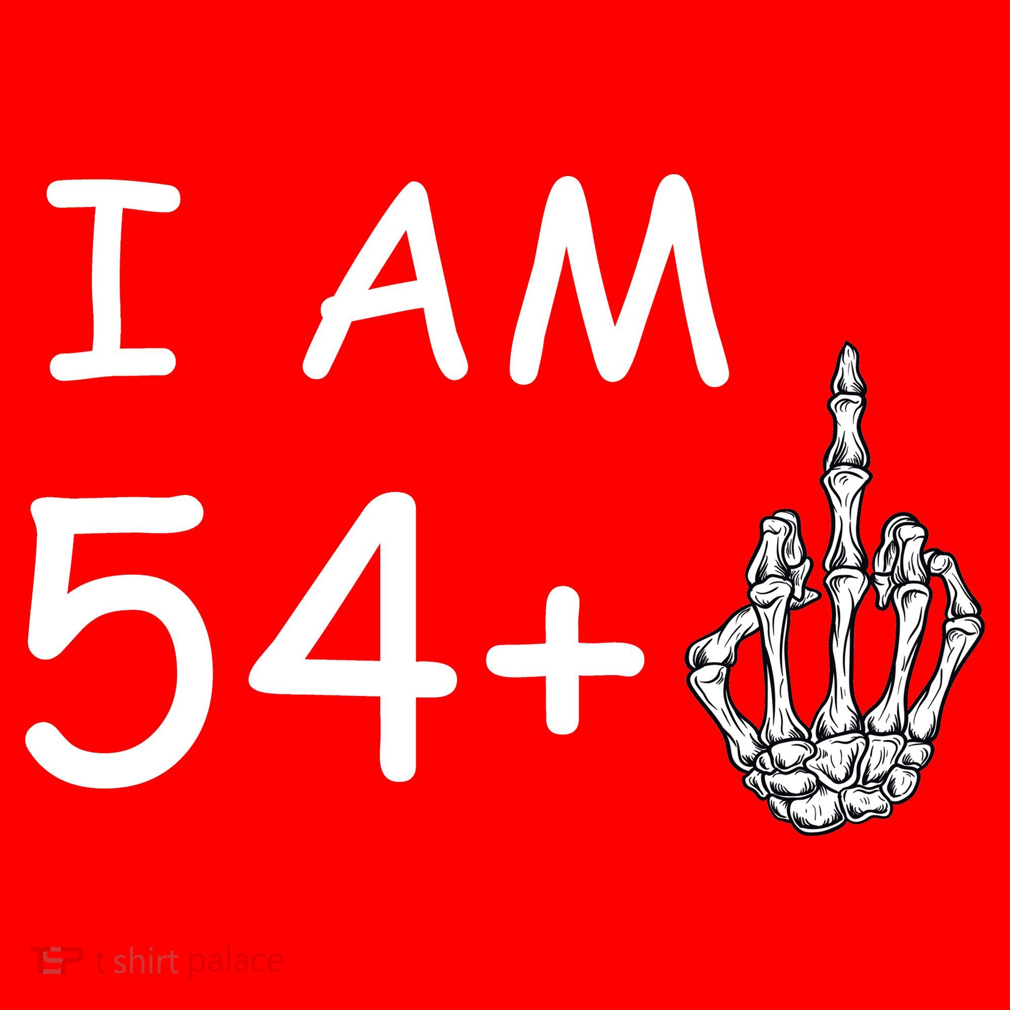 Funny 55th Birthday Santa Hat