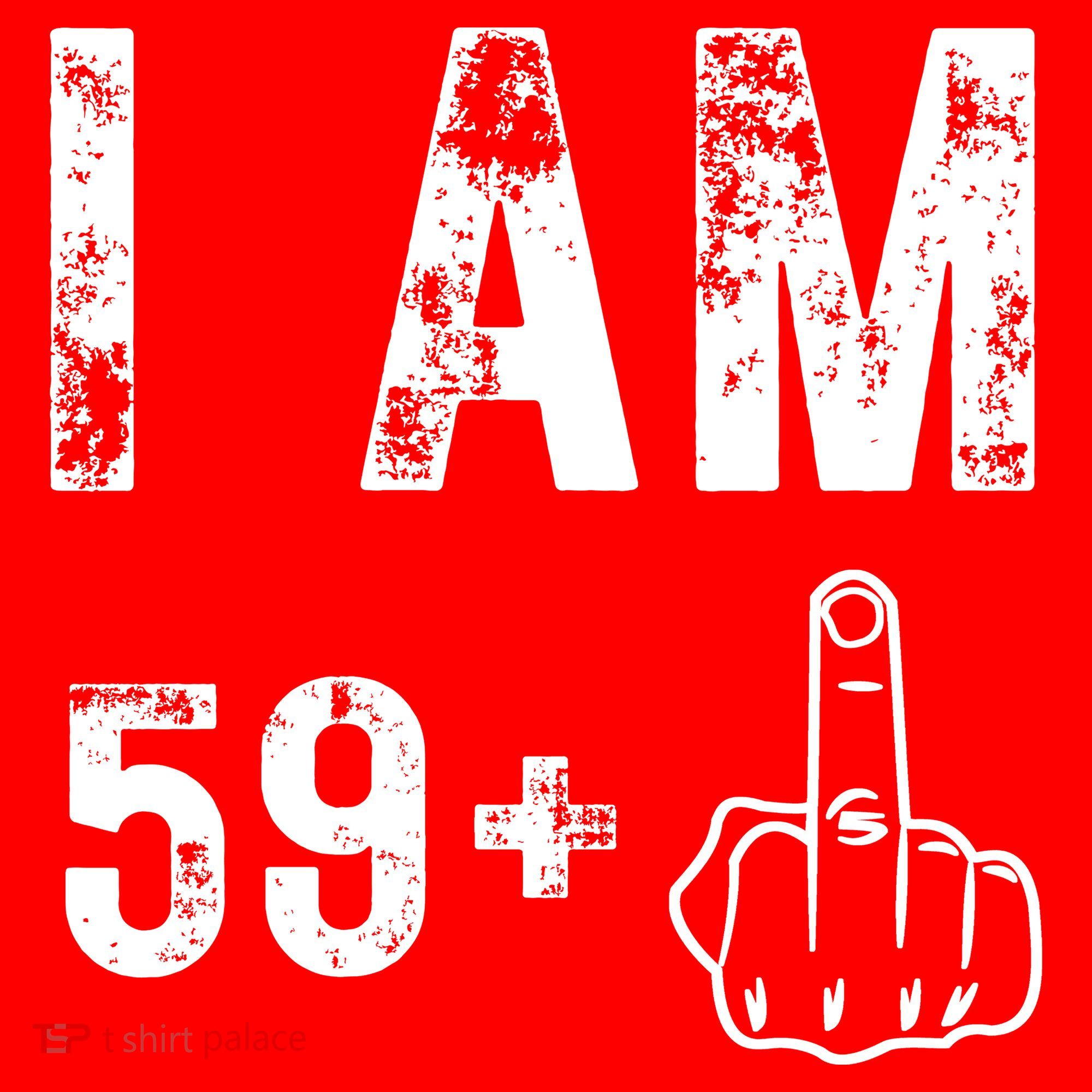 Funny 59 + One Middle Finger 60th Birthday Gifts For Wo Santa Hat