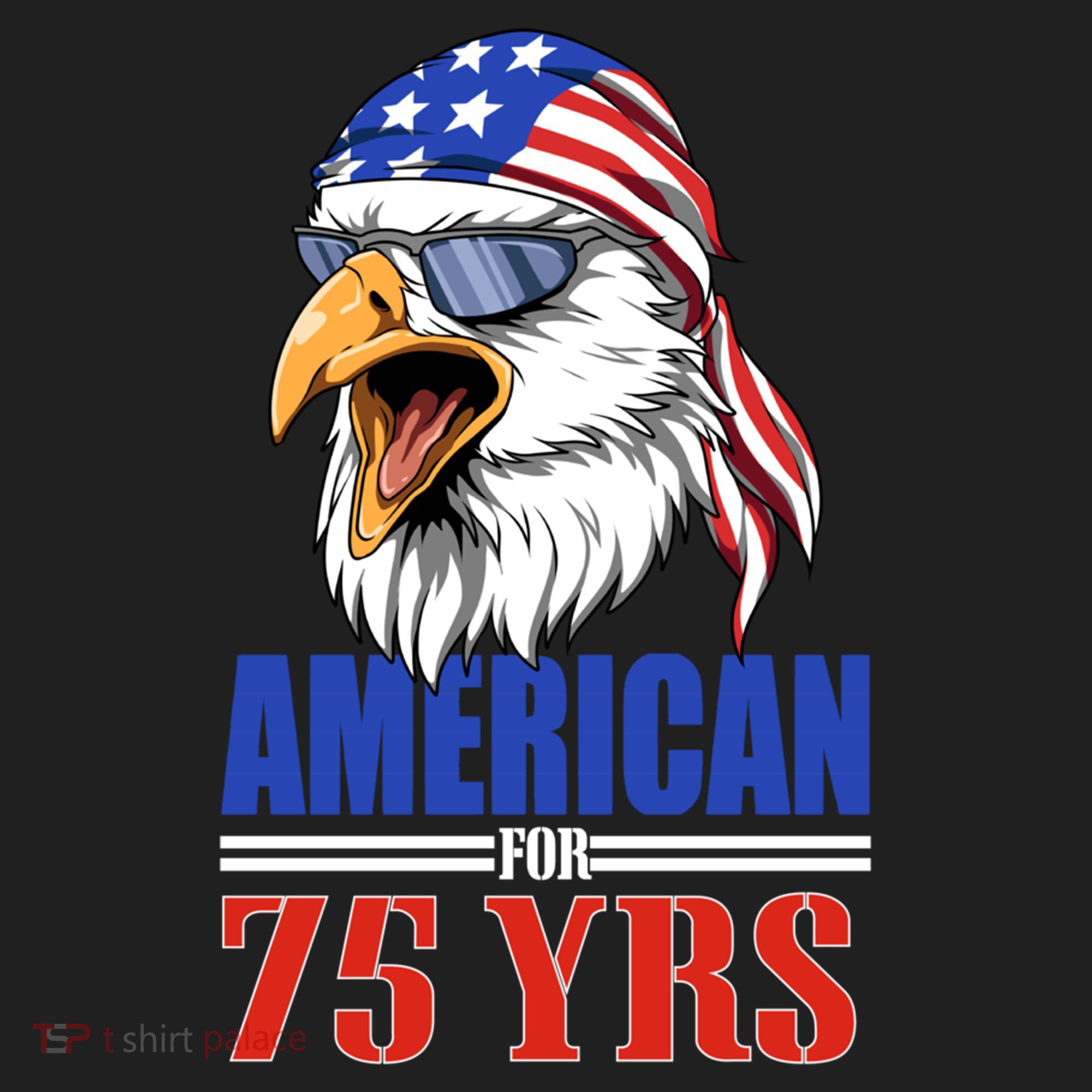 Funny 75th Birthday Gift Usa Eagle Patriotic Gift Cool Gift Beanie