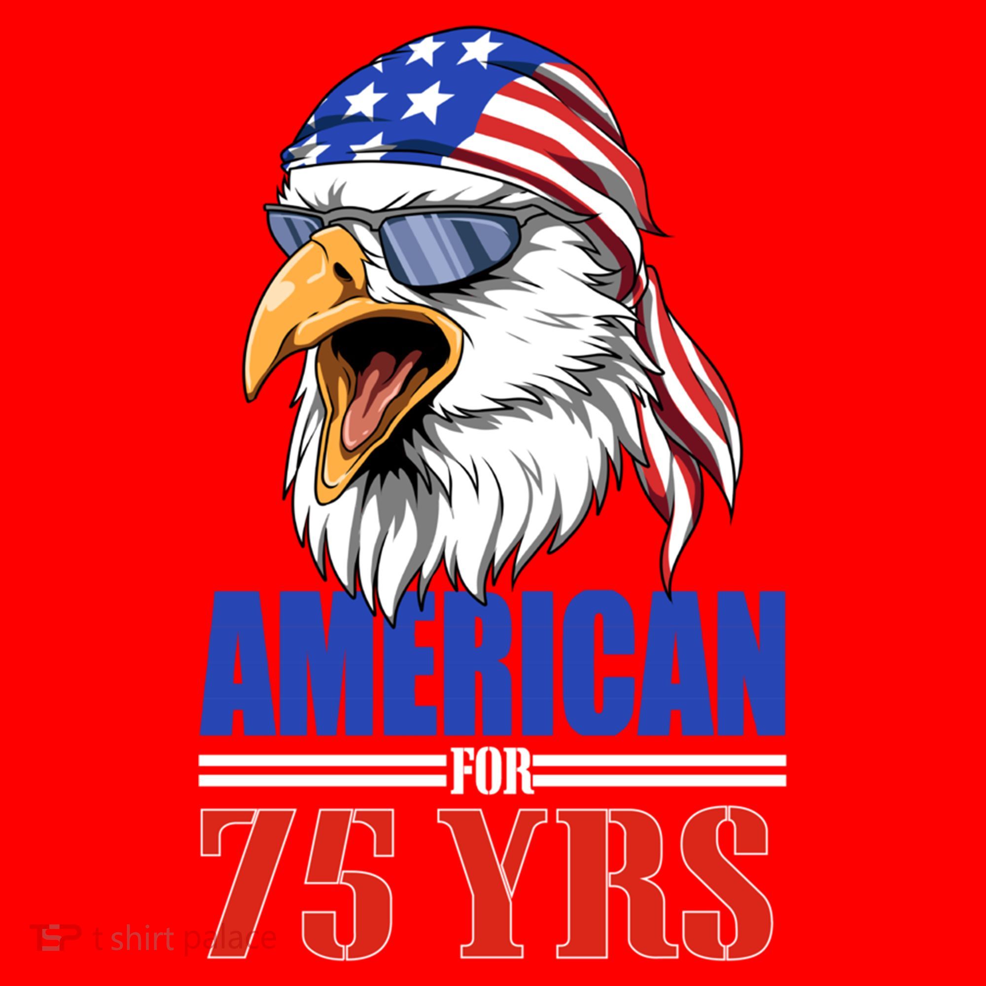 Funny 75th Birthday Gift Usa Eagle Patriotic Gift Cool Gift Santa Hat