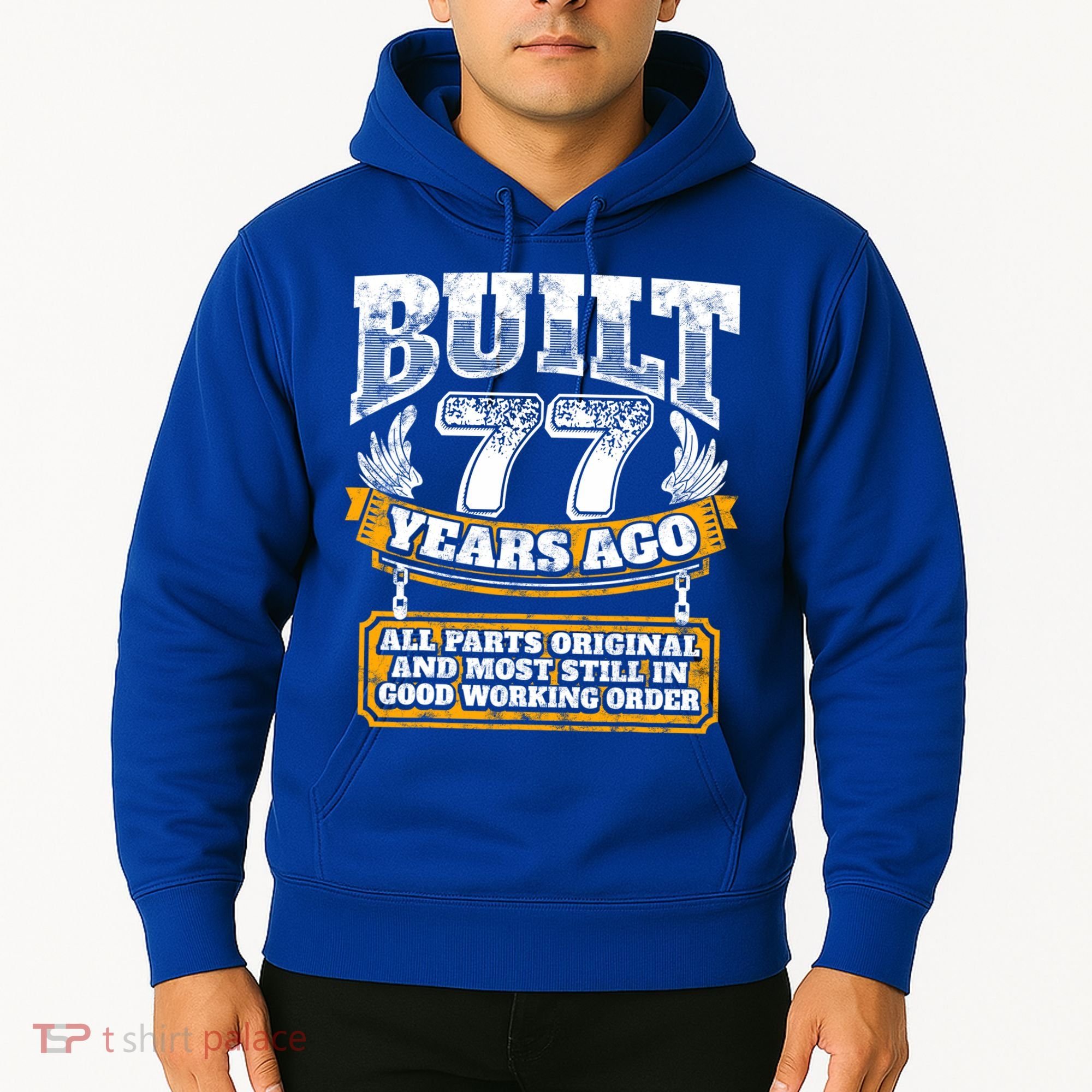 Funny 77th Birthday Gift BDay Gift Saying Age 77 Year Joke Hoodie