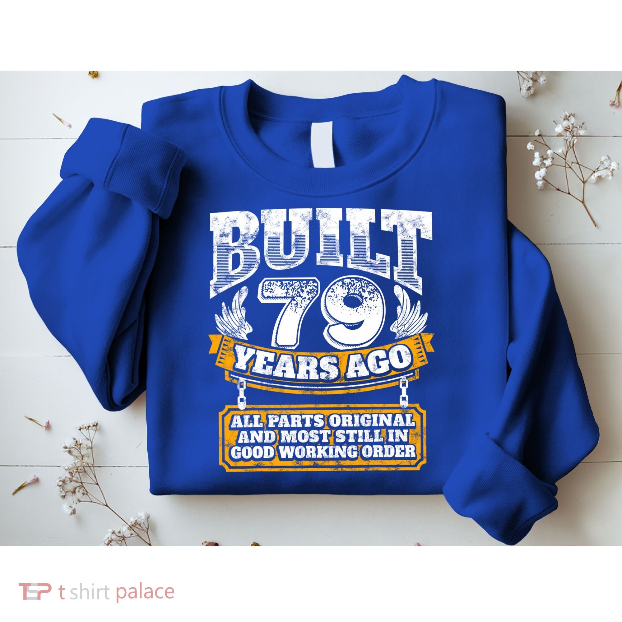 Funny 79th Birthday Gift BDay Gift Saying Age 79 Year Joke Sweatshirt