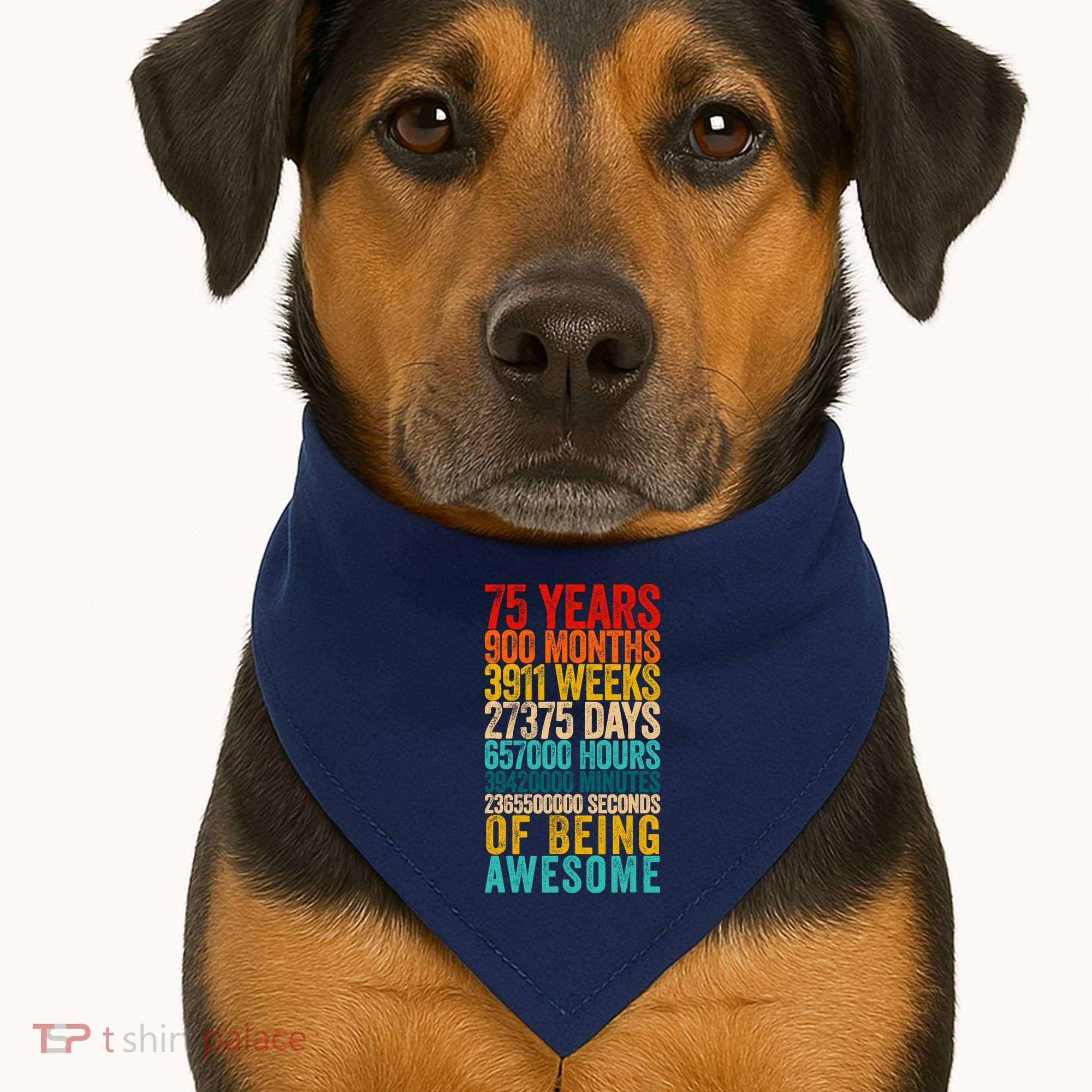 Funny 75th Birthday Old Meter Funny 75 Year Old Gifts USA-Made Doggie Bandana