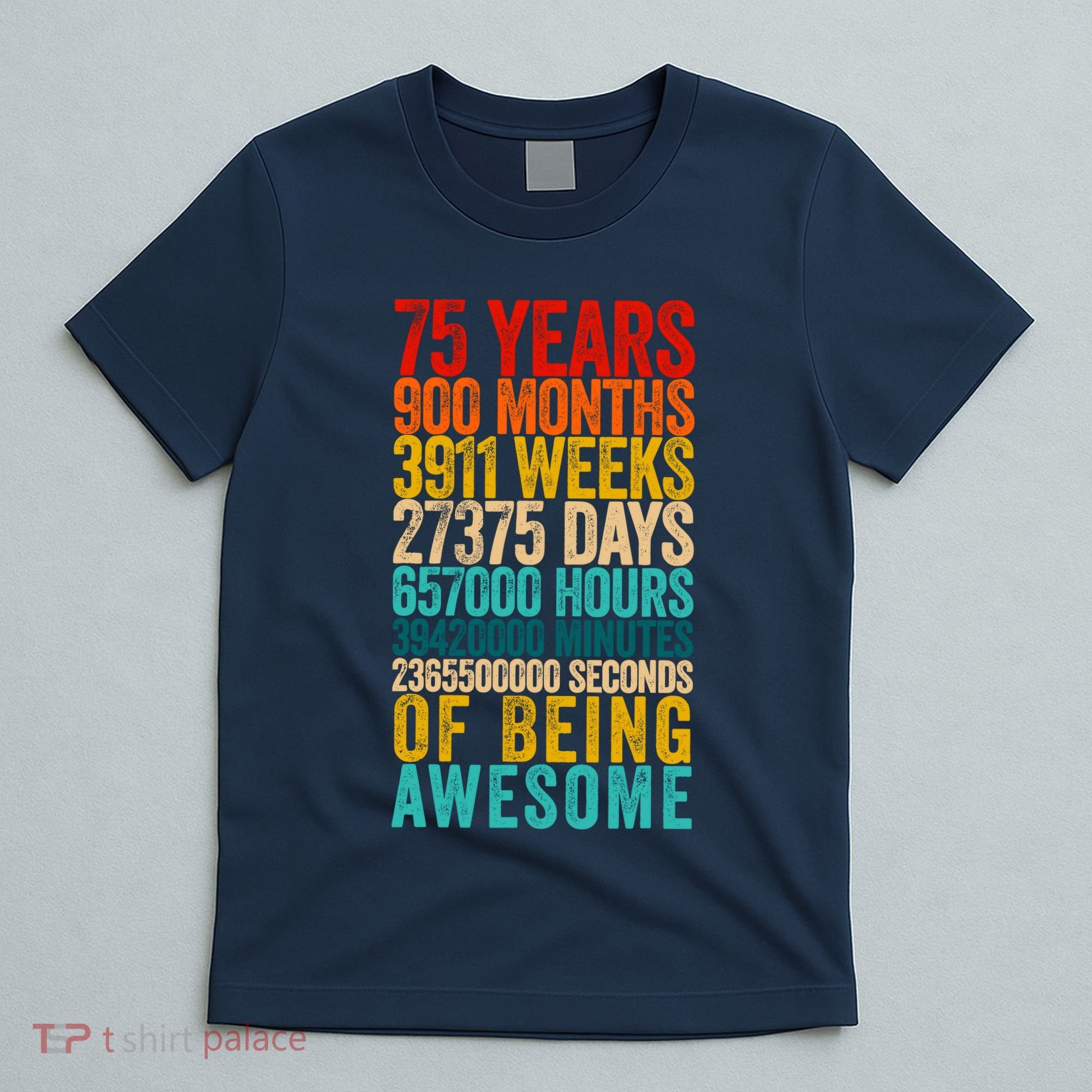 Funny 75th Birthday Old Meter Funny 75 Year Old Gifts T-Shirt