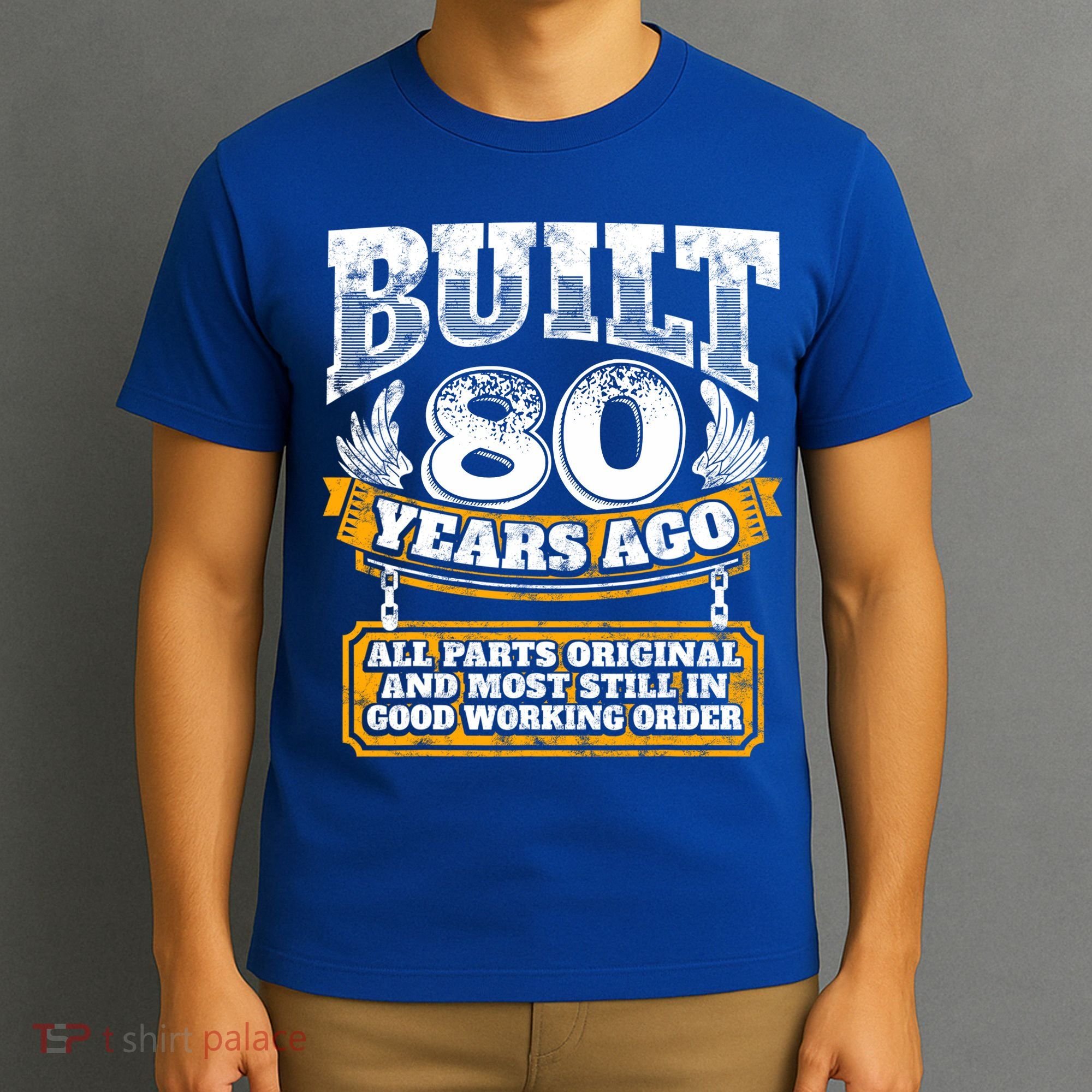Funny 80th Birthday Gift BDay Gift Saying Age 80 Year Joke T-Shirt