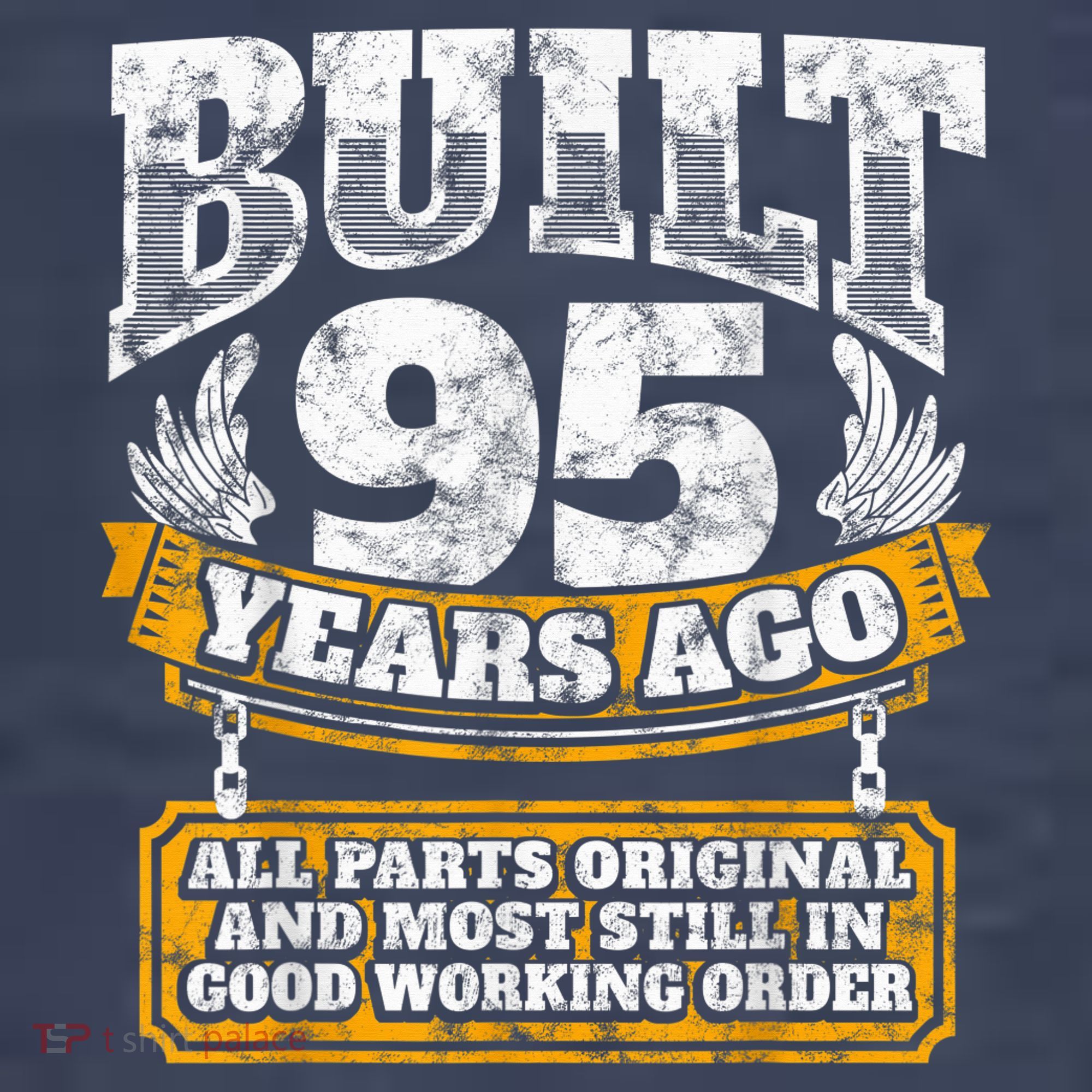 Funny 95th Birthday Present Shirt B-Day Gift Saying Age 95 Year Joke T-Shirt