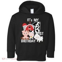 Farm Animals 1 Year Old It's My 1st Birthday Party Toddler Hoodie thumb 0