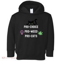 Feminism And 420 Funny Pro Choice Pro Cats Pro Weed Feminist Toddler Hoodie thumb 0