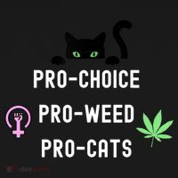 Feminism And 420 Funny Pro Choice Pro Cats Pro Weed Feminist Kids T-Shirt thumb 4