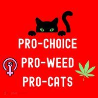 Feminism And 420 Funny Pro Choice Pro Cats Pro Weed Feminist Santa Hat thumb 1