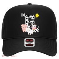 Farm Animals 6th Birthday 6 Year Old Birthday Party Hat thumb 0