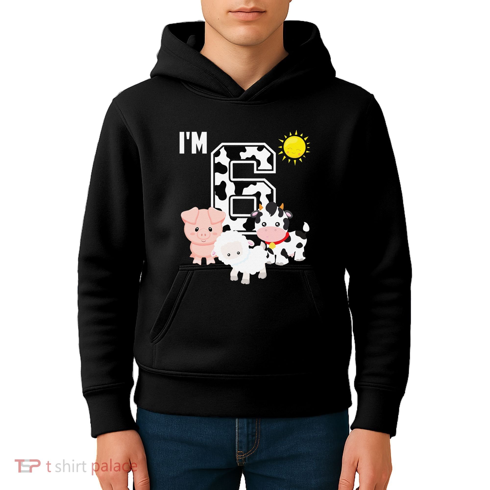 Farm Animals 6th Birthday 6 Year Old Birthday Party Kids Hoodie
