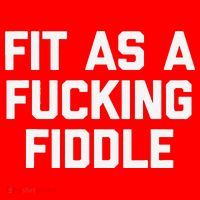 Fit As A Fucking Fiddle Funny Saying Sarcastic Novelty Santa Hat thumb 1