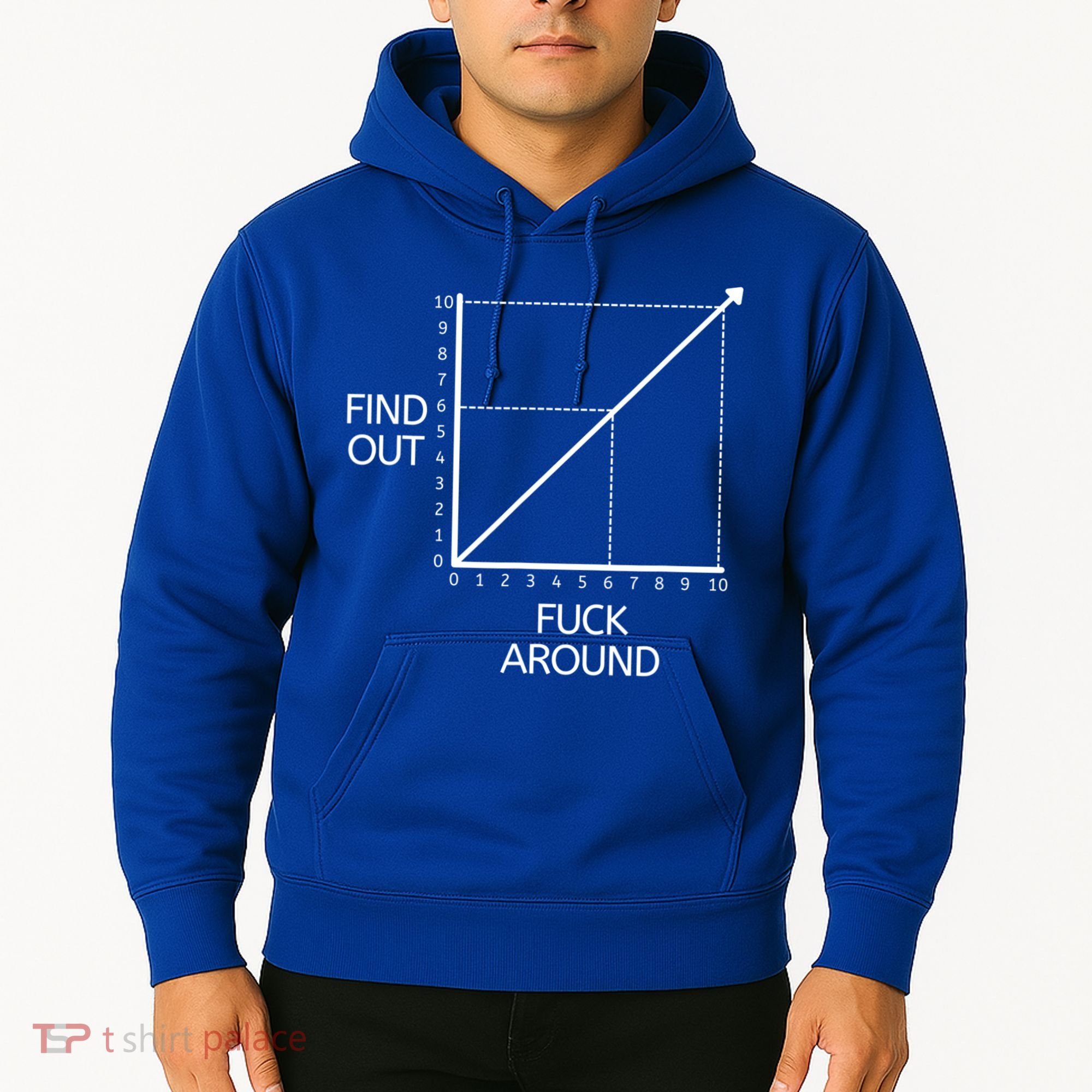 Fuck Around And Find Out Funny Graph Chart Joke Math Hoodie