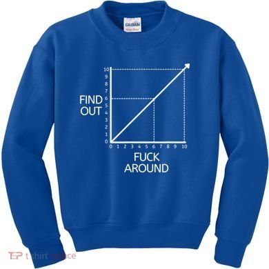 Fuck Around And Find Out Funny Graph Chart Joke Math Kids Sweatshirt