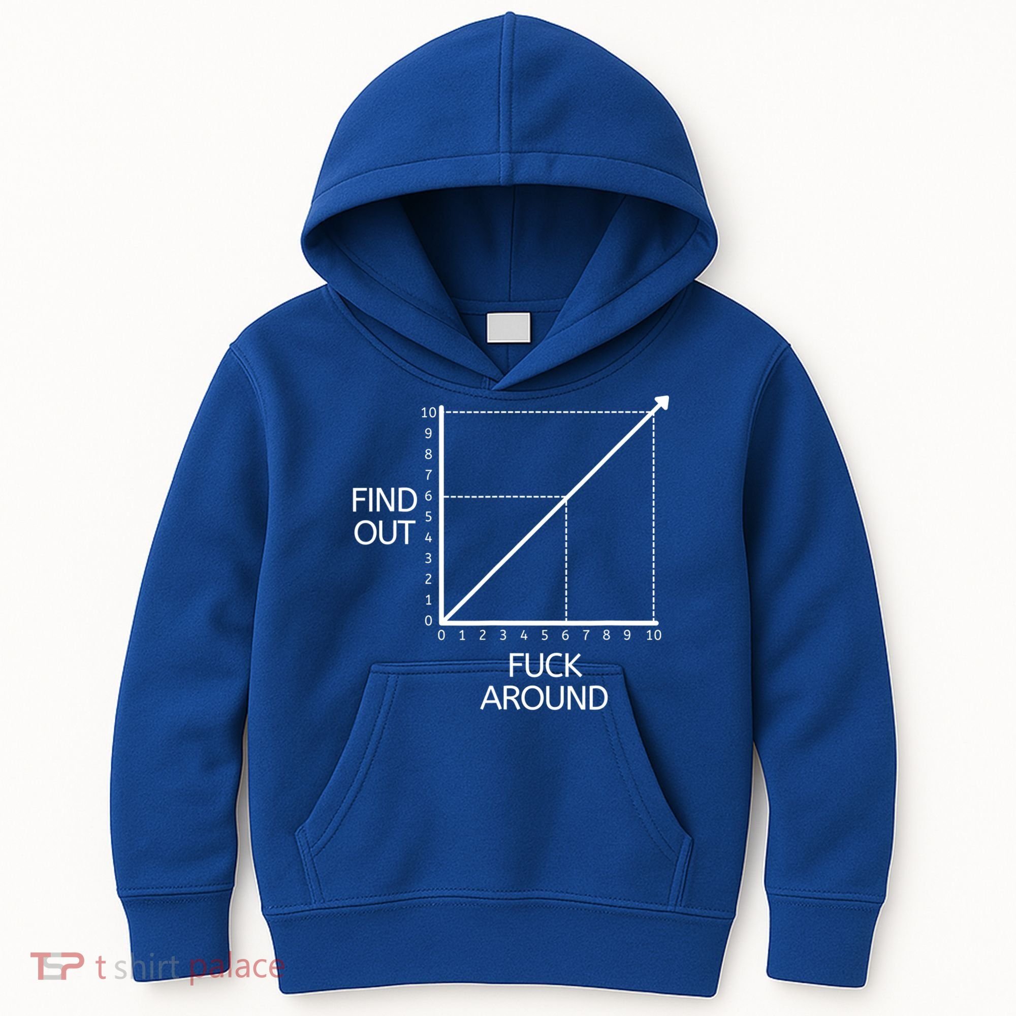 Fuck Around And Find Out Funny Graph Chart Joke Math Kids Hoodie