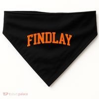 Findlay Arch Athletic College University Alumni Style USA-Made Doggie Bandana thumb 0