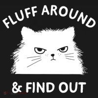 Fluff Around And Find Out Funny Cat Adult Humor Women's T-Shirt thumb 6
