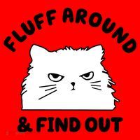 Fluff Around And Find Out Funny Angry Cat Santa Hat thumb 1