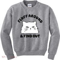 Fluff Around And Find Out Funny Angry Cat Kids Sweatshirt thumb 0