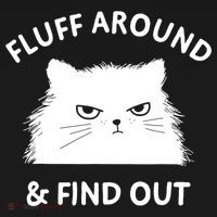 Fluff Around And Find Out Funny Cat Adult Humor Cool Gift Women's Hoodie thumb 2
