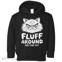 Fluff Around And Find Out Cat Toddler Hoodie thumb 0