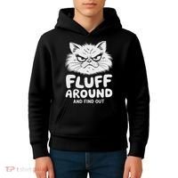Fluff Around And Find Out Cat Kids Hoodie thumb 4