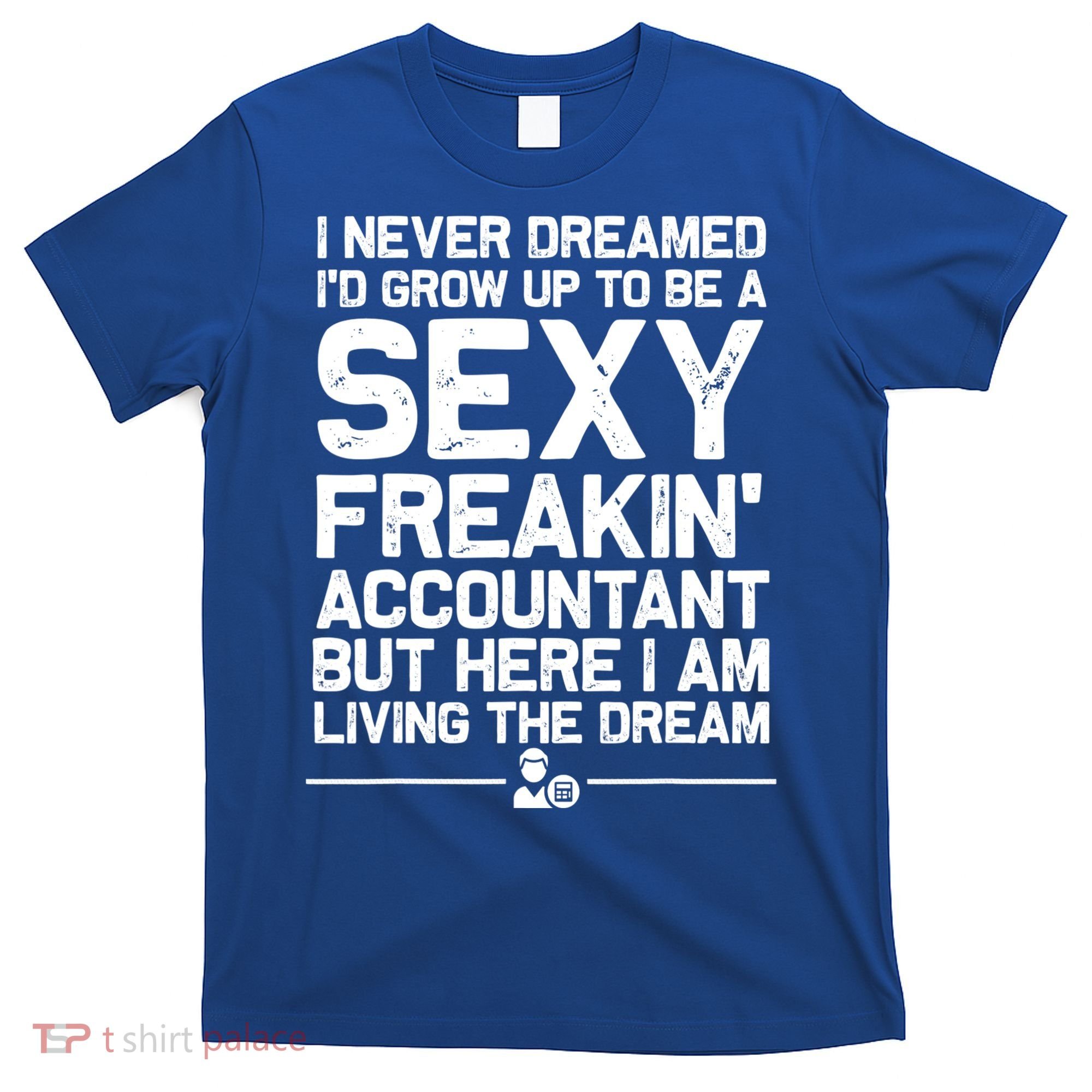 Funny Accountant Art For Men Women CPA Accounting Bookkeeper T-Shirt