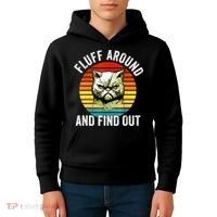 Fluff Around And Find Out Cat Lover Mom Dad Kitten Kids Hoodie thumb 4