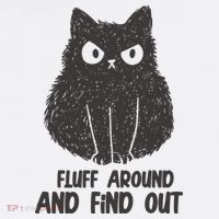 Fluff Around And Find Out Funny Cat Lover Hat thumb 2