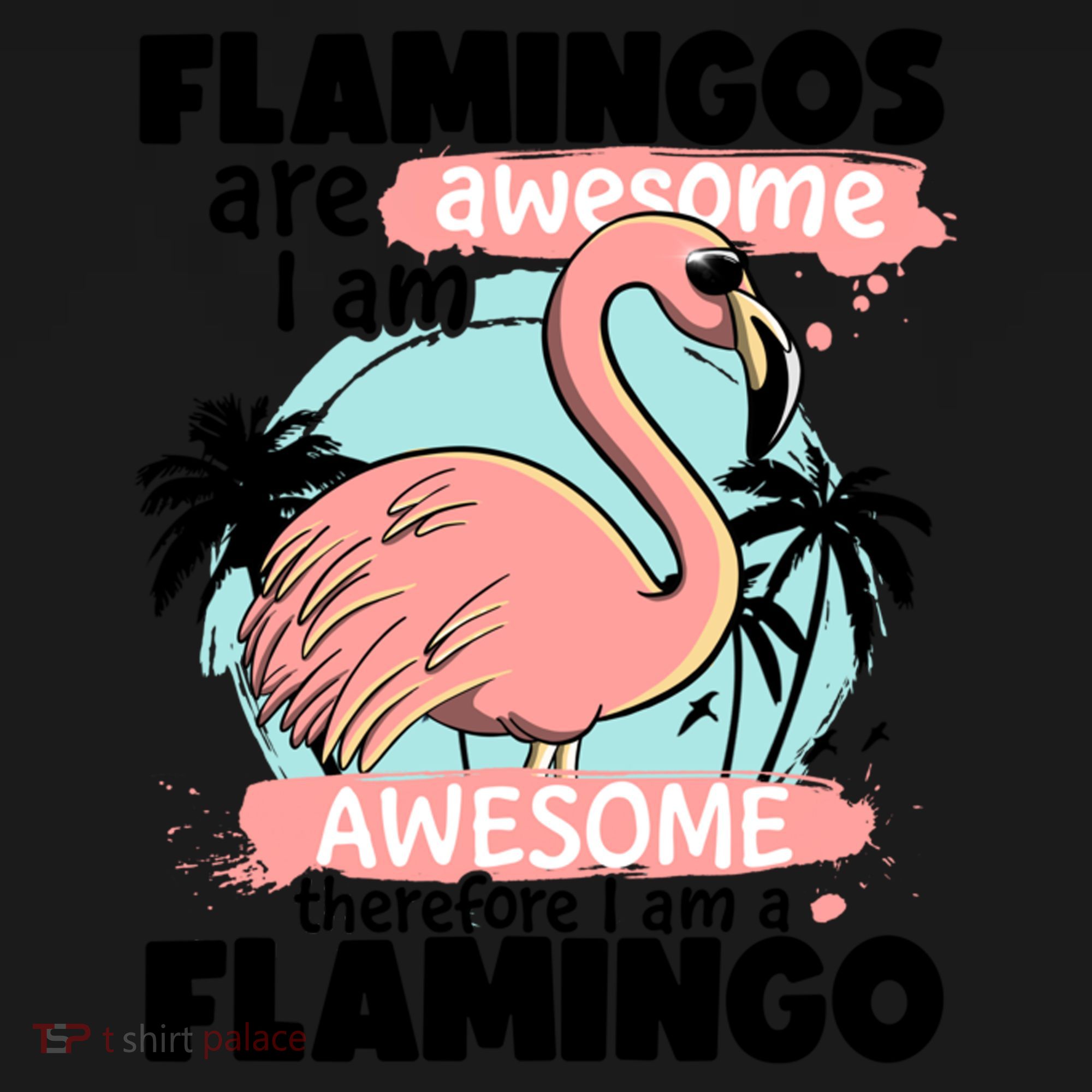 Flamingos Are Awesome I Am Awesome Funny Pink Flamingoes Gift Women's Hoodie